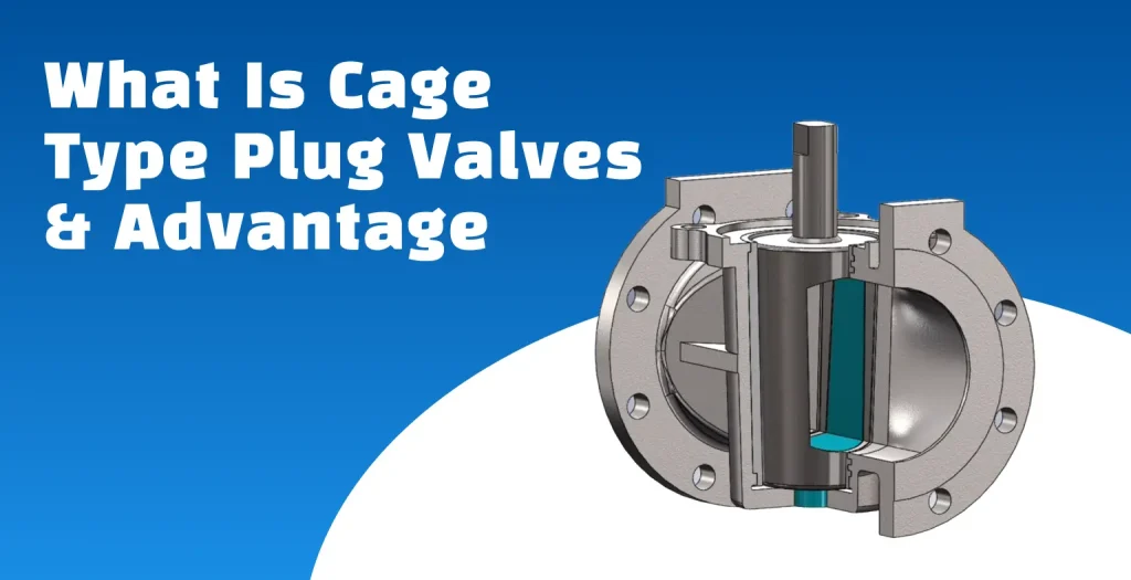 Cage Type Plug Valve